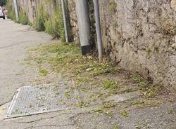 Erbacce e tombini intasati a Casbeno