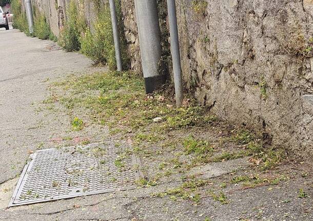 Erbacce e tombini intasati a Casbeno