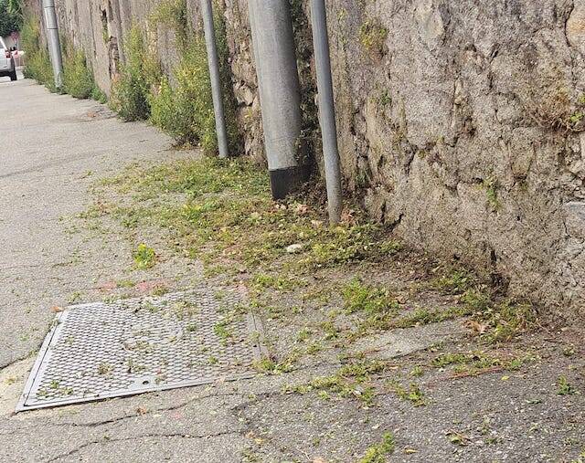 Erbacce e tombini intasati a Casbeno