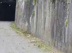 Erbacce e tombini intasati a Casbeno