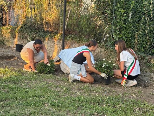 Caricamento temporaneo per contributo 17538635985k2vd8965ub7emq9