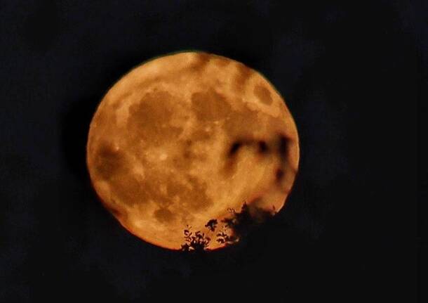 Generico 07 Jul 2025