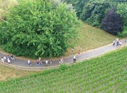 Generico 21 Jul 2025