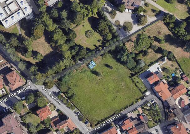 Area cani al Parco Molina di Varese: si accende il dibattito, residenti divisi sulla proposta