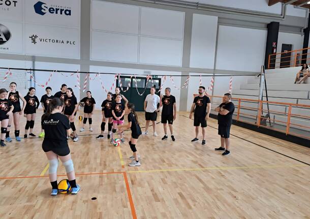 giuseppe bosetti volley network