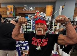 hulk hogan