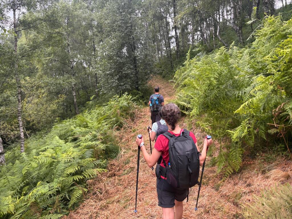 Il cammino di Ermenegildo