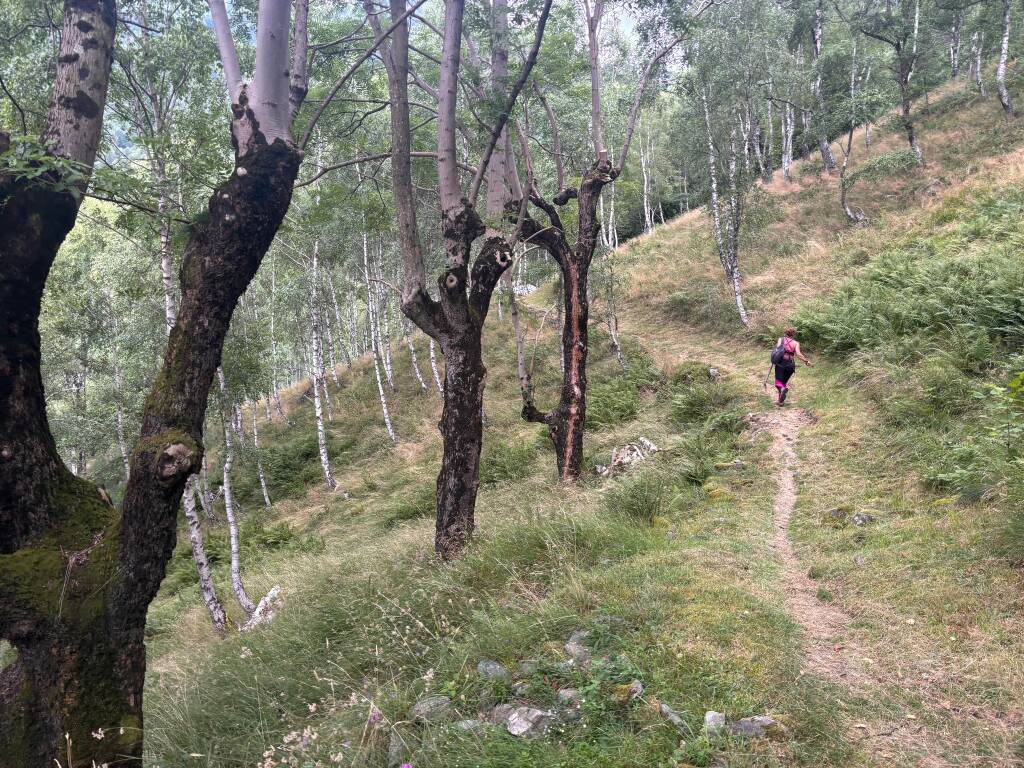Il cammino di Ermenegildo