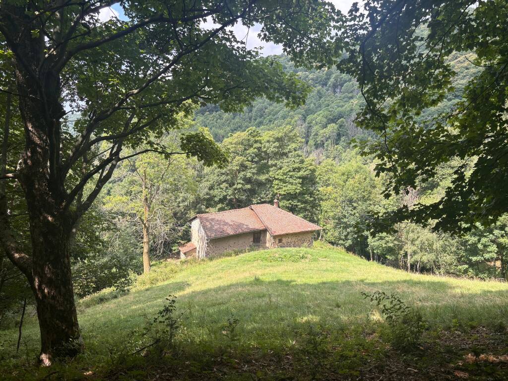 Il cammino di Ermenegildo