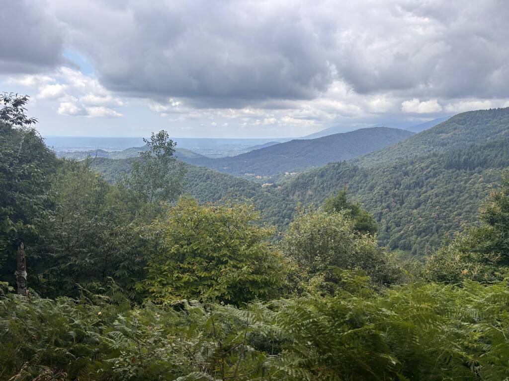 Il cammino di Ermenegildo