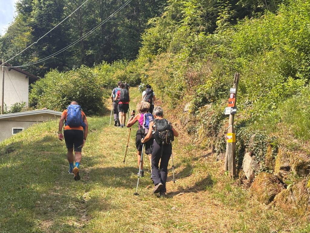 Il cammino di Ermenegildo