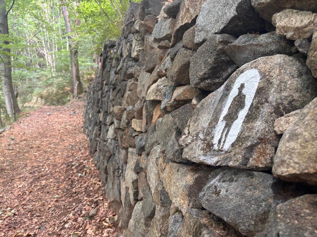 Il cammino di Ermenegildo
