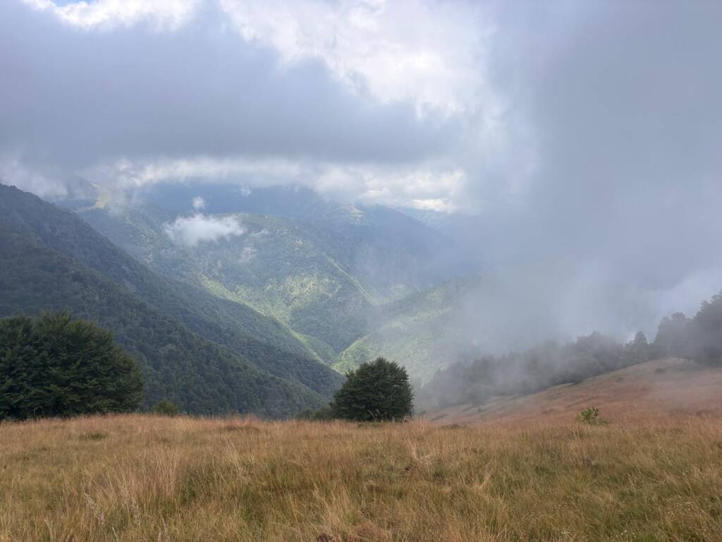 Il cammino di Ermenegildo