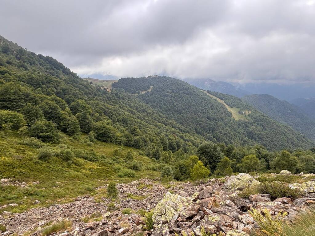 Il cammino di Ermenegildo