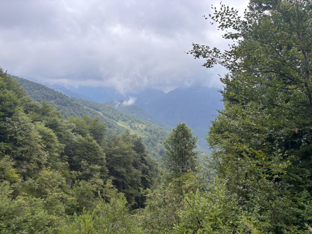 Il cammino di Ermenegildo