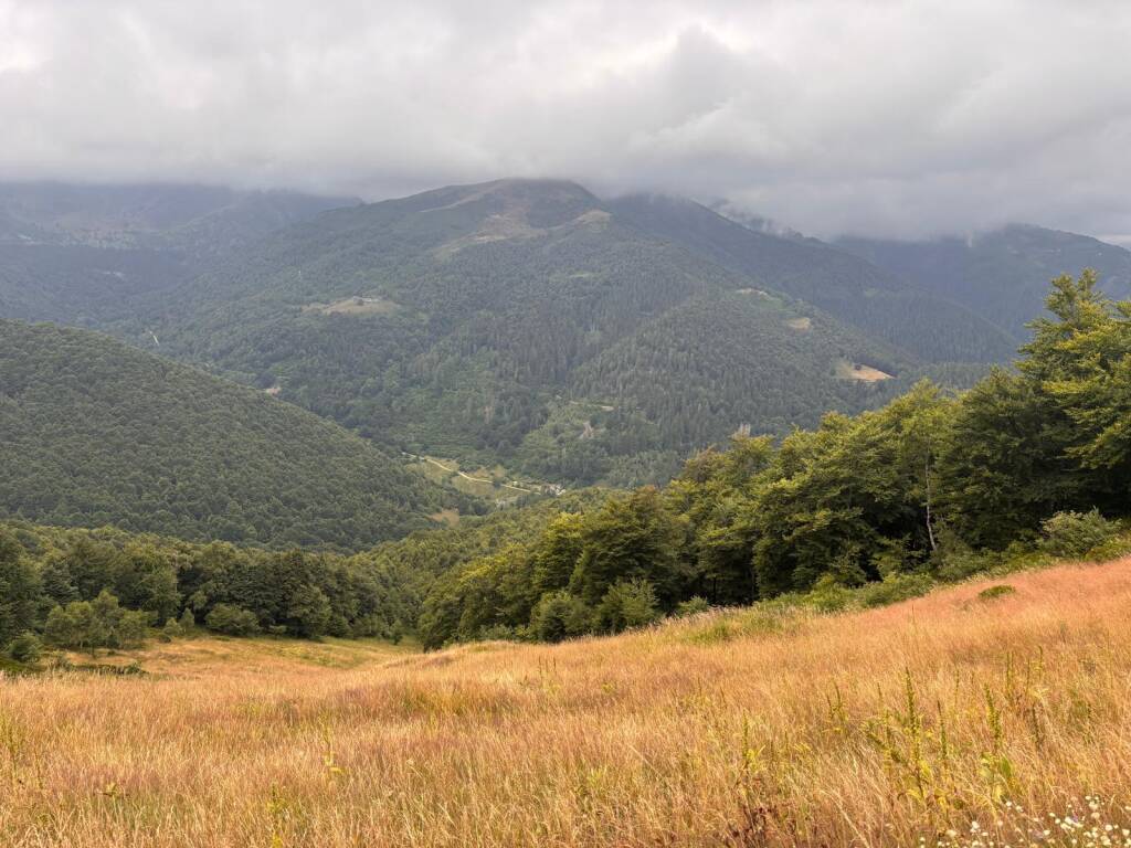 Il cammino di Ermenegildo