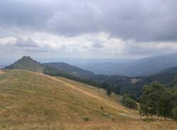 Il cammino di Ermenegildo