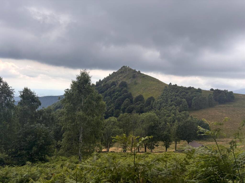 Il cammino di Ermenegildo