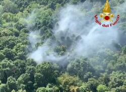 incendio parco del ticino somma 