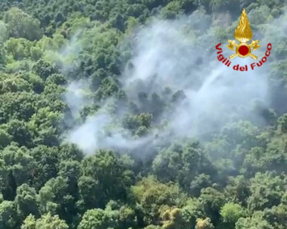 incendio parco del ticino somma 