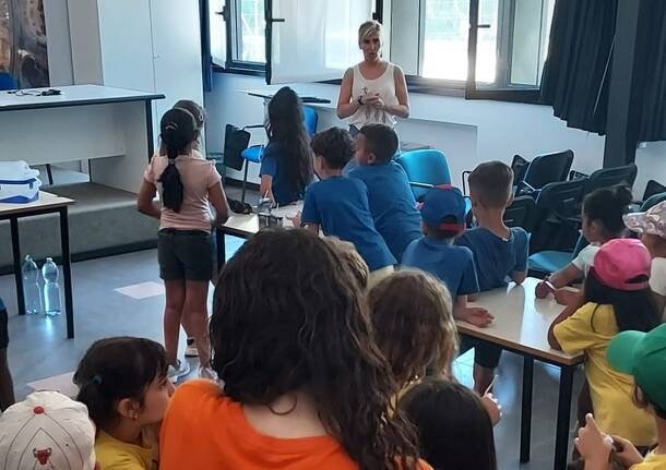 Lereti all'oratorio di Biumo Superiore