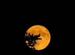 luna piena barbara canaglia