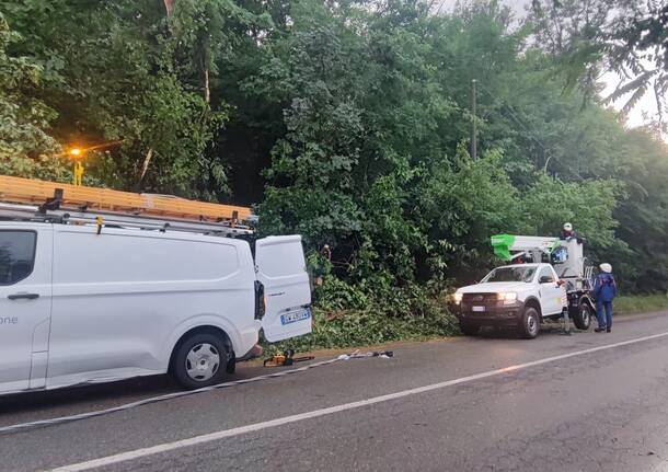 Vento e alberi caduti sulla linea elettrica a Ranco