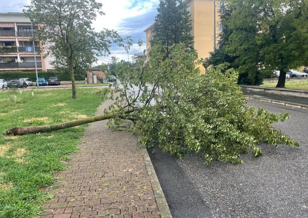 Maltempo lunedì 21 luglio nel Legnanese 