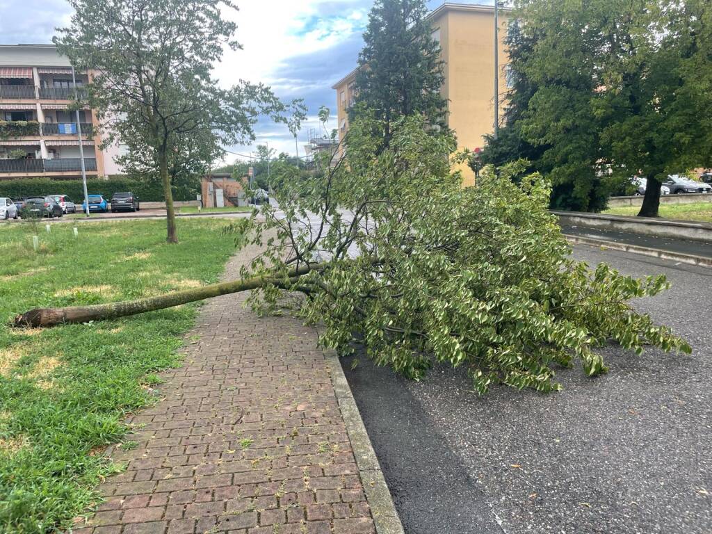 Maltempo lunedì 21 luglio nel Legnanese 
