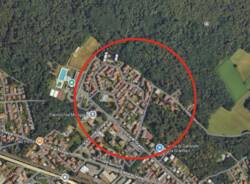 moriggia disifestazione