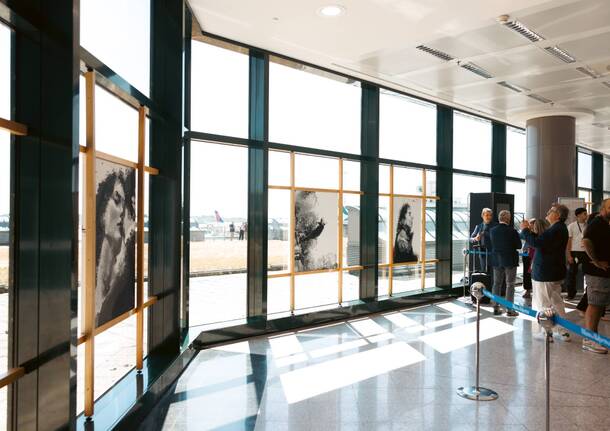 Mostra Pako Bono