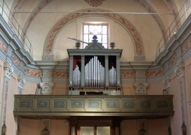 Organo casale Litta