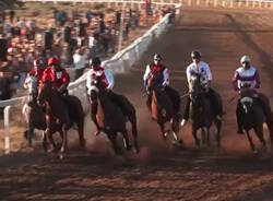 palio fonni
