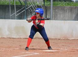 softball vikings malnate