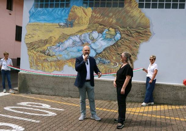 vergiate murales