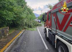 Vigili del fuoco varie