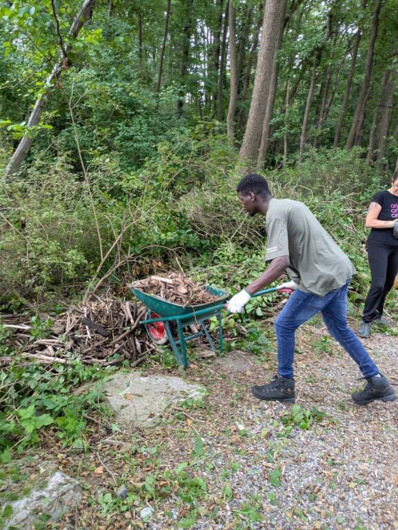 Volontari al lavoro al Golfo della Quassa: pulizia e contenimento delle specie invasive