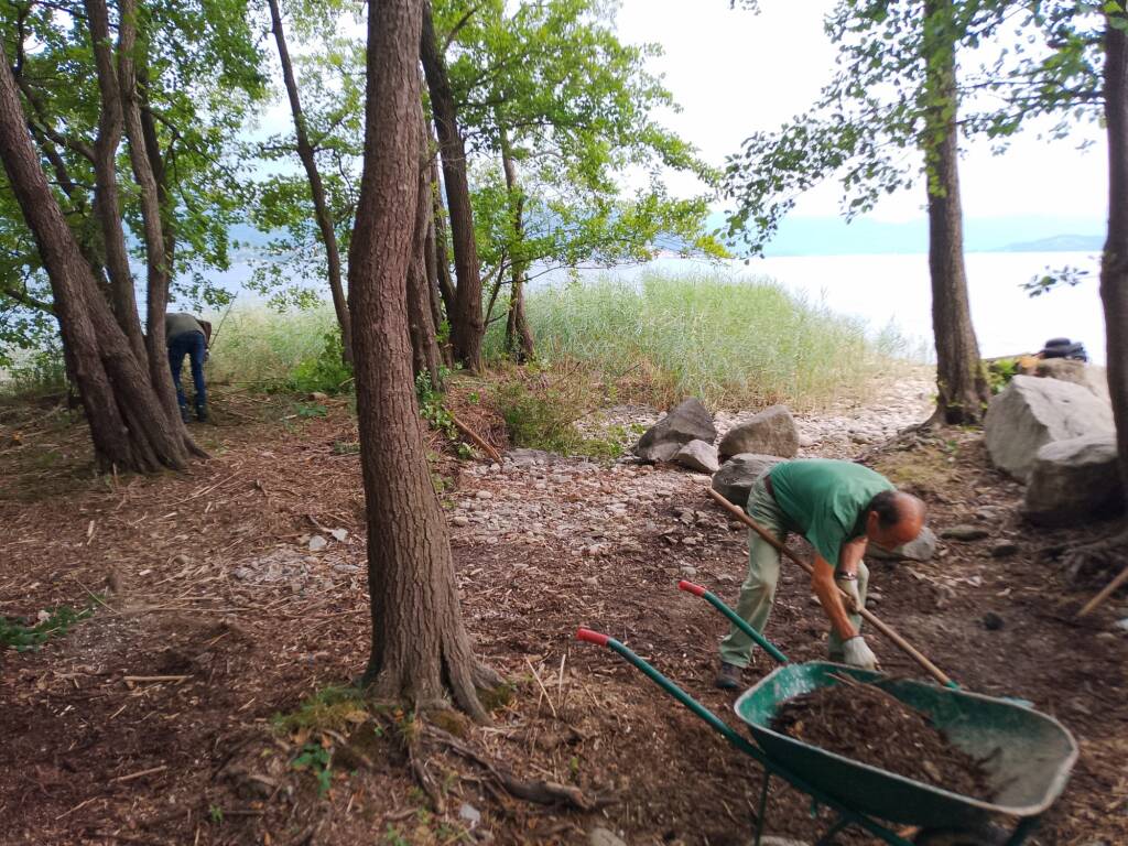 Volontari al lavoro al Golfo della Quassa: pulizia e contenimento delle specie invasive