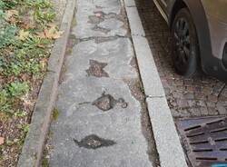 Buche al marciapiede di via Dandolo a Varese