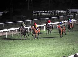 Ippodromo Le Bettole, la serata del Premio Marcialis