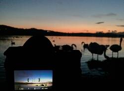 “Dal pelo dell’acqua in giù” conquista il Caselle Film Festival