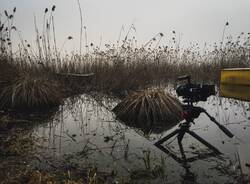 “Dal pelo dell’acqua in giù” conquista il Caselle Film Festival