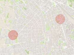 disinfestazione busto