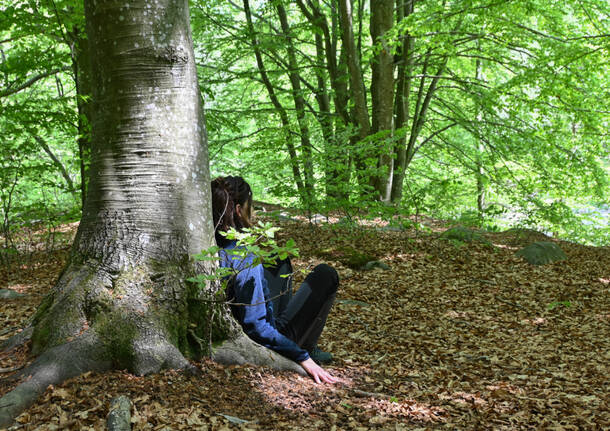 Forest Bathing Oasi Zegna