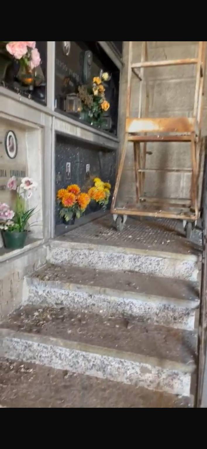 Fratelli d'Italia contro incuria e degrado a Legnano