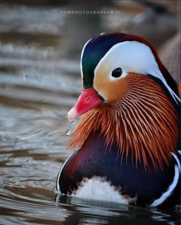 Generico 25 Aug 2025