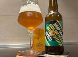 hoopsbeer golden bhoy