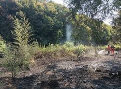 incendio parco del ticino - foto tratta da pag FB di Parco Lombardo della valle del ticino