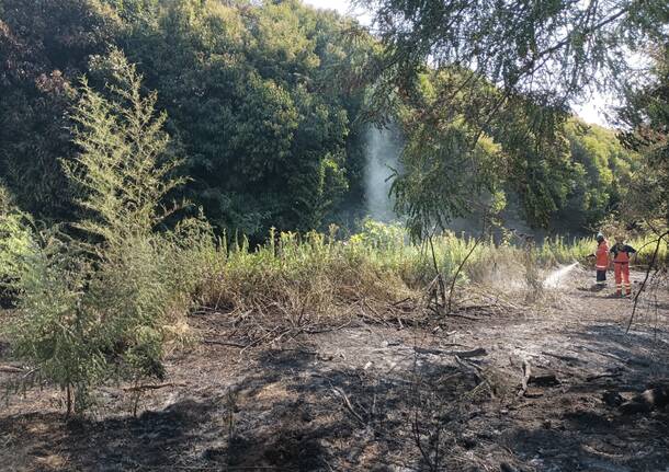 incendio parco del ticino - foto tratta da pag FB di Parco Lombardo della valle del ticino