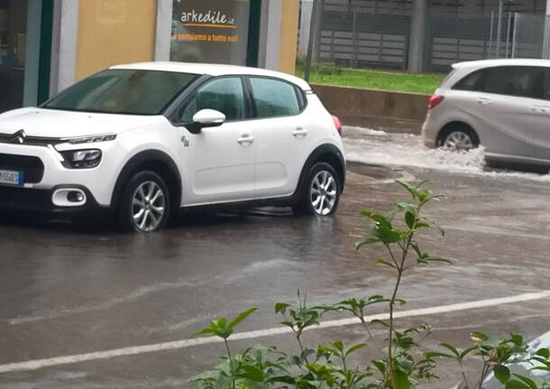 Malpempo Legnano